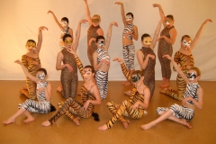 Jellicle Cats